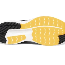 Potomac River Running SHOP 21 Potomac River Running SHOP -Potomac River Running SHOP Screen Shot 2020 01 09 at 12.31.07 PM