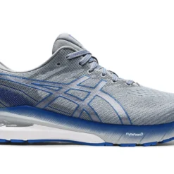 Men's ASICS GT-2000 10 - 1011B185.021