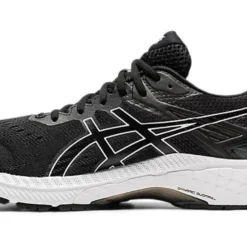 Men's ASICS GT-2000 9 - 1011A983.001 -Potomac River Running SHOP b3